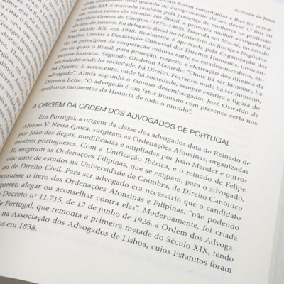 image_55299fb8-07e0-4e63-b7fd-4b81888ae30d