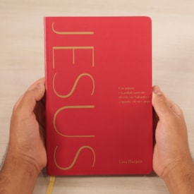 Segunda imagem do produto Jesus | Um Tributo Escandalosamente Devoto, Ao Salvador e a Quanto Ele Nos Ama | Lisa Harper
