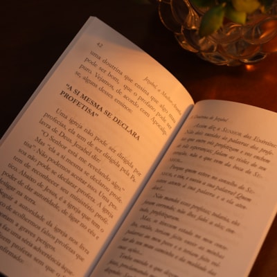 image_49c1da7d-4aee-40d7-9a25-eb5a9e67bcd1