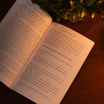 image_e099a50d-057f-41b2-bc0c-2139c20444c7