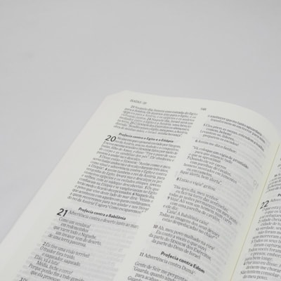 image_ad1f37e1-19f9-4086-9278-ef58189c6bc4