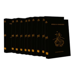 Kit 10 Bíblias Sagrada Bom Pastor | NVA | Capa Brochura