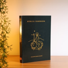 Segunda imagem do produto Kit 10 Bíblias Sagrada Bom Pastor | NVA | Capa Brochura