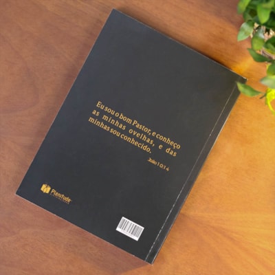 image_ba97361f-a7dc-42fe-8c7b-9041731fcefd