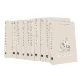 Kit 10 Bíblias Sagrada Jesus no Barco | NVA | Capa Brochura