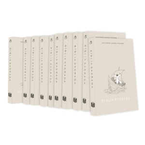 Kit 10 Bíblias Sagrada Jesus no Barco | NVA | Capa Brochura