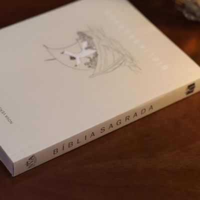 image_6dddc9b0-8e08-4778-96d3-0a36a6df7d41