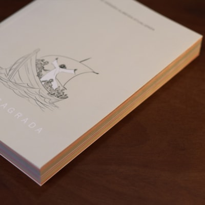 image_5cc1fd5f-377c-4343-bef6-8ab1e602bb99