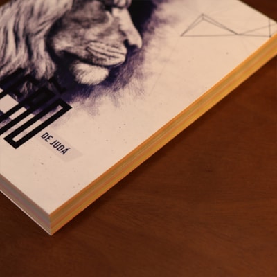 image_e53c9e30-5ac1-4c80-aa89-58cdd79e6338