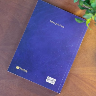 image_a5fe6870-428d-4f21-9599-0ccf34603698