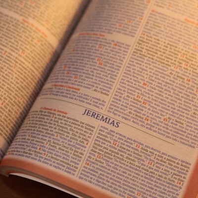 image_c72285c8-2f94-48b3-a386-62d16ef2c0f1