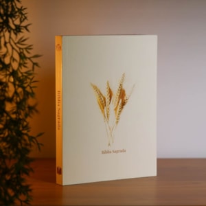 Segunda imagem do produto Kit 10 Bíblias Sagrada Trigo | NVA | Capa Brochura