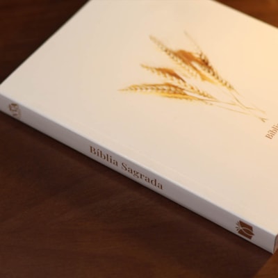 image_7fa773a2-ed44-4588-8bc5-4f8b816f024f