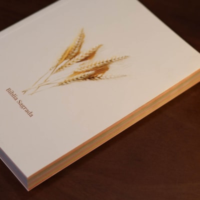 image_b649dac3-7fe9-40d3-8b88-f243decef5c7