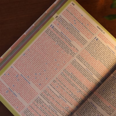 image_7d20f31c-80c4-43e7-8e37-b3d8c034aa48