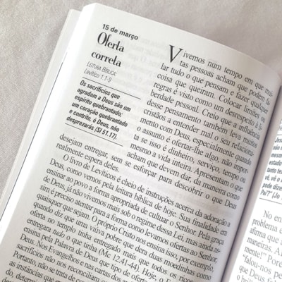 image_1ee1239e-b10d-4279-acc8-e418e9434ce1