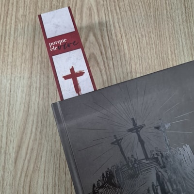 image_01b15554-2b77-48a8-9ecf-6a090937aa47