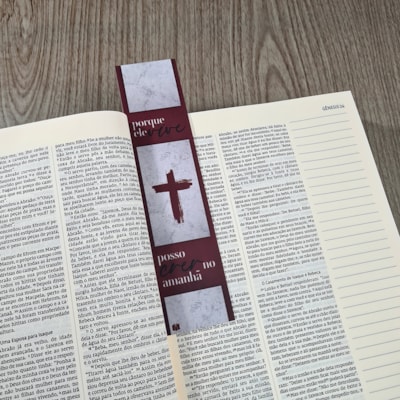 image_b7afa0f2-6568-4013-9b5b-fabacaffe47c