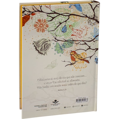 image_072629a6-530d-4ee5-8d0f-aee26584f930