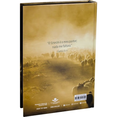 image_1a9ee2e3-756a-454b-a837-8664099ddb77