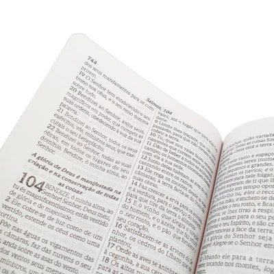 image_98f22b09-4d09-4d57-b170-a6462df7ca12