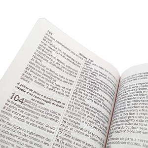 Kit 20 Bíblias Para Evangelismo | ARC | Capa Brochura