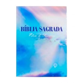 Kit 30 Bíblias Sagrada Céu | ARC | Edição Promessas | Bolso
