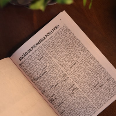 image_2abc6076-e29e-4183-9dcb-5a3e10e4465e