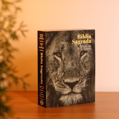 image_b376bee6-d1d4-404c-aa7e-bca75c39fca2