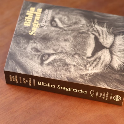 image_1bb420c5-8cc3-44bf-a9c6-f8c5f5f1c1c0