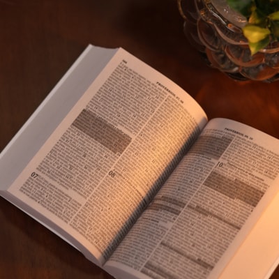 image_51f3da46-8b5a-4ad9-91fe-849b6a5c05c1