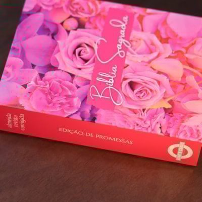 image_e0528cbb-6755-4935-ad64-52089b06ef20