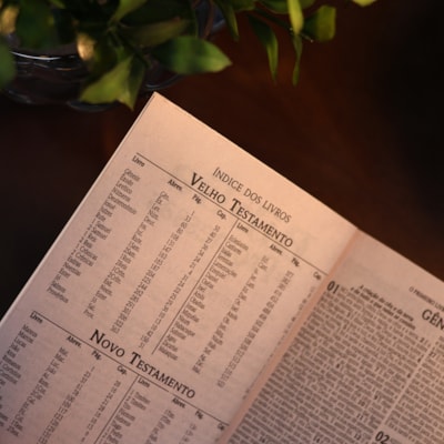 image_d2acbf6e-ad32-4d65-b166-2d24a37dd1a0