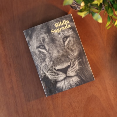 image_b8399ed9-784e-462b-b1e6-d5ba0e1346b1