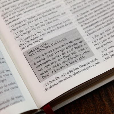 image_929a1745-c7d4-44ce-a65f-7b5aaef8ffc5