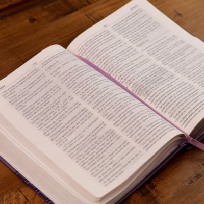 image_678e00a9-943d-40b1-a9c3-e7079add332e