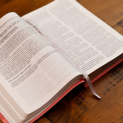 image_e322a559-7027-4348-97a4-9b9011ee411f