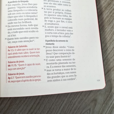 image_b71f4cb5-d3c5-484f-a389-e14eeb1cda2f