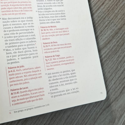 image_149aa71a-1090-4f5d-b2d0-51258109e004