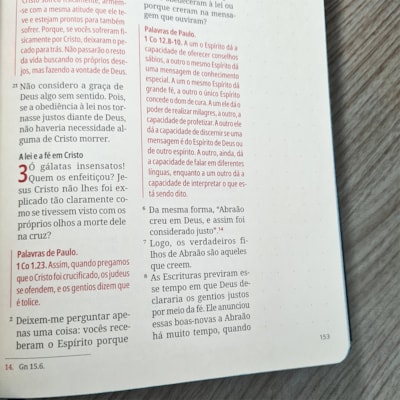 image_778ef2cc-06fa-48ef-aa2e-b4b78c0aaee8