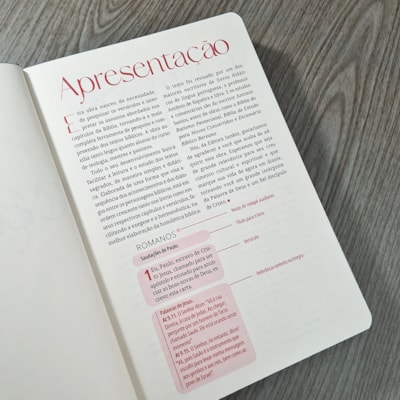 image_a055fc05-93f4-4017-9d55-43f10cf2748c