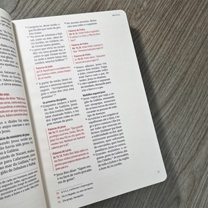 Kit Bíblia Contexto | Novo Testamento | NVT | Capa Dura | Ornamentos