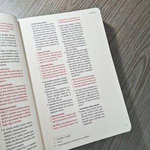 Kit Bíblia Contexto | Novo Testamento | NVT | Capa Dura | Quadro Antigo
