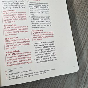 Kit Bíblia Contexto | Novo Testamento | NVT | Capa Dura | Quadro Antigo