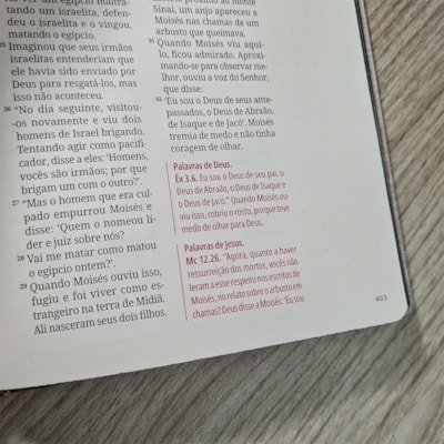 image_5760e36c-232e-43c4-8c05-5dbd049c721a