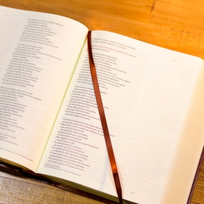 image_74fdbfcf-73f5-403d-ab5c-93e67c5a704e