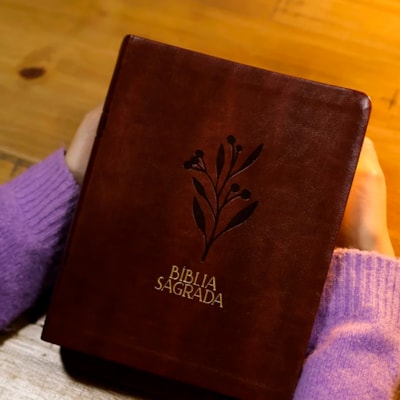 image_771c7a39-fb3f-4d66-ab33-a9c0acfd272e