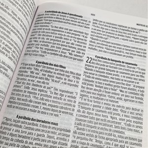 Kit Bíblia NVT e Agenda | Primavera Alegre