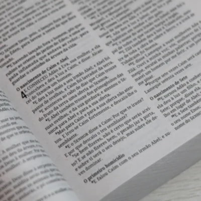 image_18b25812-a9ca-4b23-8a2a-5b5464ece294