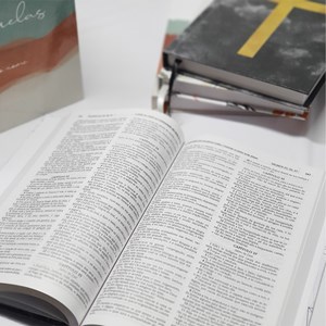 Kit com 12 Bíblias ACF Letra Normal Capa Dura | Evangelismo
